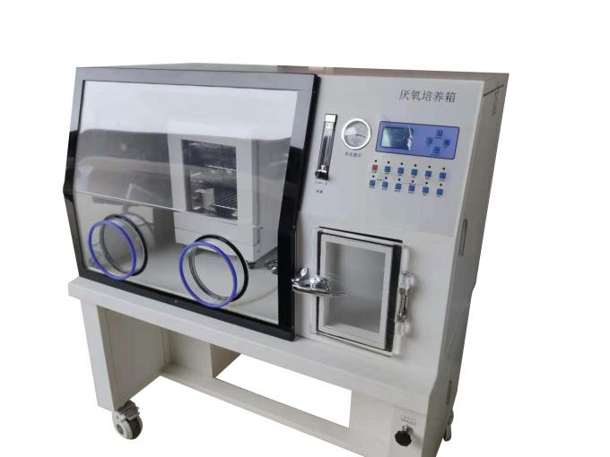 Vacuum Lab Anaerobic Incubator / Anaerobic Bacteria Cultivation Chamber